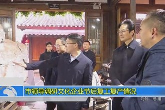 市领导调研文化企业节后复工复产情况