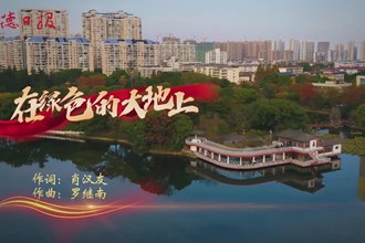 在绿色的大地上