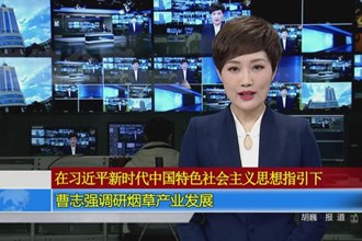 曹志强调研烟草产业发展