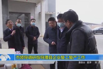 市领导调研指导澧县企业复工复产工作