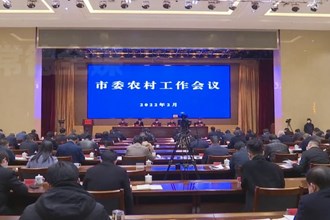 市委农村工作会议召开