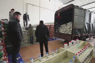 鼎城：农田吃上“营养餐” 土地“减肥”又增效