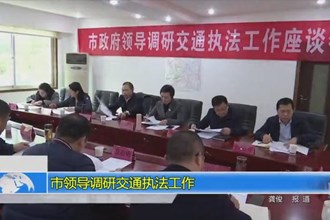 市领导调研交通执法工作