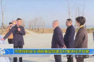 市领导到安乡调研基层党建及村集体经济发展