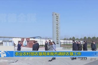 农业农村部农垦局来我市调研农垦工作