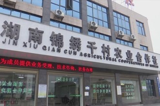 周振宇赴澧县、津市调研：抓早抓实春耕备耕 加快推动高质量发展