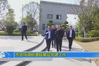 市领导调研澧县基层党建工作