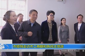 市领导走访市工商联和各民主党派