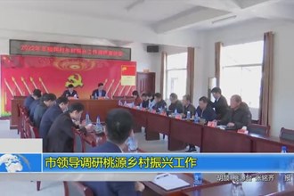 市领导调研桃源乡村振兴工作