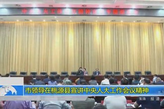市领导在桃源县宣讲中央人大工作会议精神