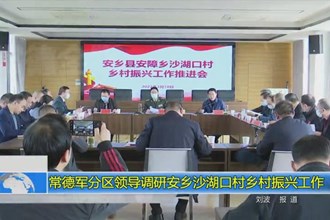 常德军分区领导调研安乡沙湖口村乡村振兴工作