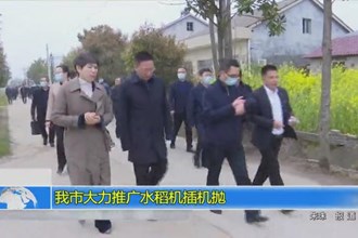 常德市大力推广水稻机插机抛