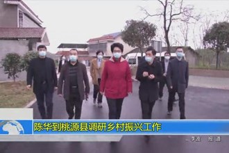 陈华到桃源县调研乡村振兴工作