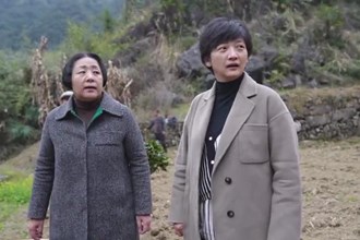 石门薛家村：“三色”绘出乡村振兴共富梦