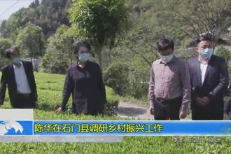 陈华在石门县调研乡村振兴工作