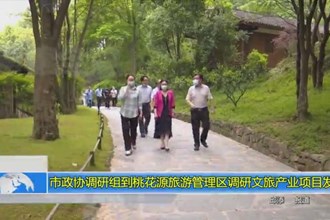 市政协调研组到桃花源旅游管理区调研文旅产业项目发展