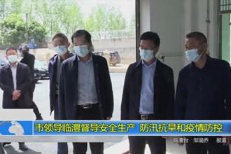 市领导临澧督导安全生产、防汛抗旱和疫情防控