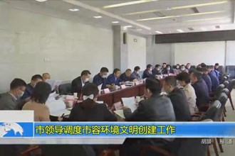 市领导调度市容环境文明创建工作