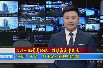 “三问”于企 打出企业帮扶组合拳