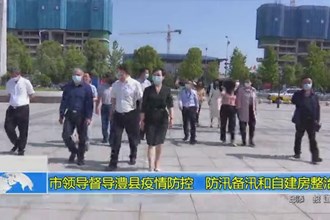 市领导督导澧县疫情防控、防汛备汛和自建房整治