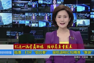 临澧：打好“组合拳” 留抵退税红包精准“落袋”