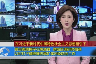 曹志强周振宇在桃源县、鼎城区调研时强调：以钉钉子精神推进尾矿库污染防治工作