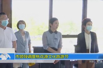 市领导调度桃花源文化旅游节