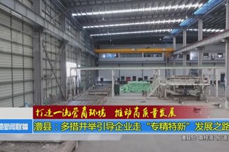 澧县：多措并举引导企业走专精特新发展之路