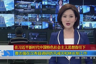 曹志强在汉寿县调研防汛减灾和林长制工作