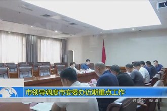 市领导调度市安委办近期重点工作