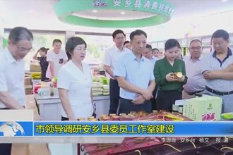 市领导调研安乡县委员工作室建设