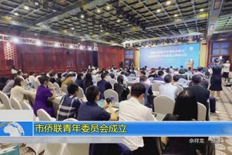 常德市侨联青年委员会成立