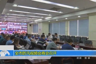 常德市防汛视频会商会召开