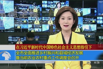 全市全面推进乡村振兴和县域经济发展暨当前农业农村重点工作调度会召开