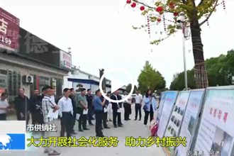常德市供销社：大力开展社会化服务 助力乡村振兴