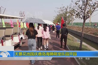 天景花池国庆鹿岛海狮萌宠乐园开园
