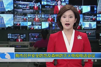 常德市召开安全防范及森林防灭火电视电话会议