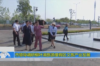 市领导调研柳叶湖旅游度假区文旅产业发展