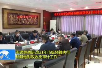 市领导调研2021年市级预算执行和其他财政收支审计工作