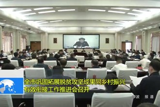 全市巩固拓展脱贫攻坚成果同乡村振兴有效衔接工作推进会召开