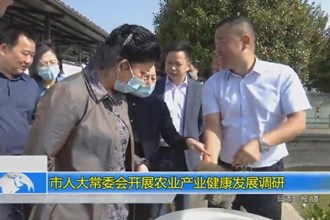 市人大常委会开展农业产业健康发展调研