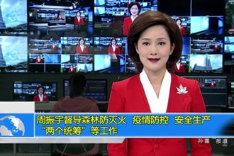 周振宇督导森林防灭火、疫情防控、安全生产、“两个统筹”等工作