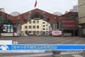 澧县：各中小学开展宪法宣传周活动