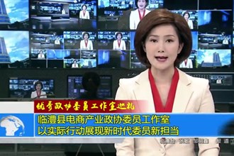 临澧县电商产业政协委员工作室：以实际行动展现新时代委员新担当