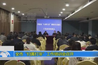 常德市“扫黄打非”工作培训会召开