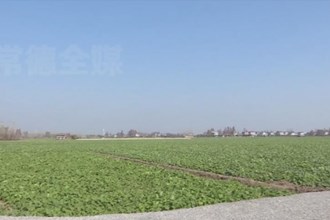 周振宇调研冬春水利和高标准农田建设