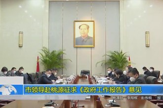 市领导赴桃源征求《政府工作报告》意见