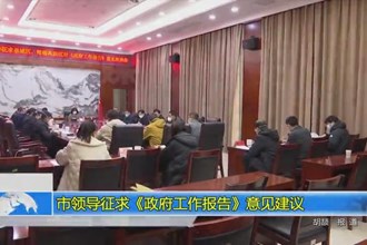 市领导征求《市政府工作报告》意见建议