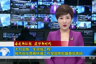 大力实施“生命线工程” 我市优化营商环境工作受国务院督查组表扬
