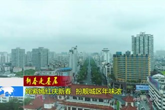 姹紫嫣红庆新春 扮靓城区年味浓